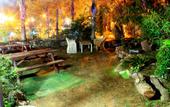 Туры в отель Sea Princess Motel