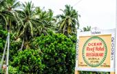 Туры в отель Ocean Reef Hotel