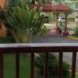 Туры в отель Hotel Merengue Punta Cana, оператор Anex Tour