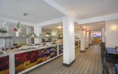 Туры в отель Cleopatra Golden Beach Hotel