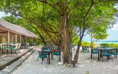 Туры в отель Dhigali Maldives