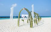 Туры в отель Dhigali Maldives