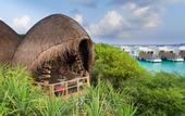 Туры в отель Dhigali Maldives