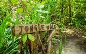 Туры в отель Dhigali Maldives