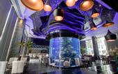 Туры в отель Centara Azure Hotel Pattaya