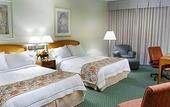 Туры в отель Courtyard Niagara Falls