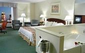 Туры в отель Courtyard Niagara Falls