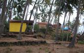 Туры в отель Neptune Point Hill Top Cottages