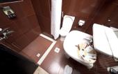 Туры в отель Grand Sina Hotel