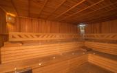 Туры в отель Elamir Felizya Hotel