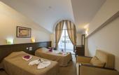 Туры в отель Elamir Felizya Hotel
