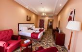 Туры в отель Red Castle Hotel