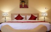 Туры в отель Red Castle Hotel