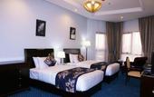 Туры в отель Red Castle Hotel