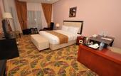 Туры в отель Red Castle Hotel