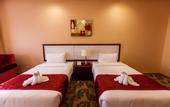 Туры в отель Red Castle Hotel