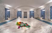 Туры в отель Orfeus Queen Hotel & Spa