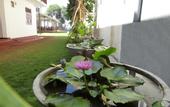Туры в отель Amadeo Beach Resort