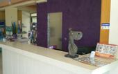 Туры в отель Faliraki Dream Studios & Apartments