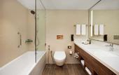 Туры в отель Hilton Garden Inn Ras Al Khaimah