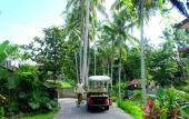 Туры в отель The Artini Dijiwa Ubud