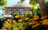 Туры в отель Elysium Elite Hotel & Spa