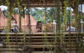 Туры в отель Best Western Premier Agung Resort Ubud