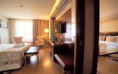 Туры в отель Wyndham Batumi
