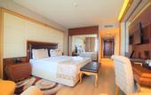 Туры в отель Wyndham Batumi