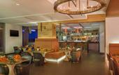Туры в отель Hilton Dead Sea Resort & Spa