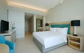 Туры в отель Hilton Dead Sea Resort & Spa