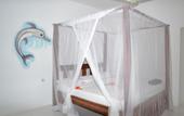 Туры в отель Union Beach Bungalows