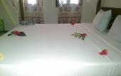Туры в отель Union Beach Bungalows