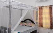 Туры в отель Galle Star Hotel