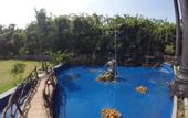 Туры в отель Dhammika Magic Palace