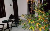 Туры в отель Happy Night & Restaurant