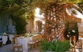 Туры в отель Alavya Hotel