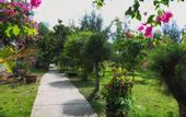 Туры в отель Sky Star Resort