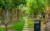 Туры в отель Duyen Ha Resort Cam Ranh