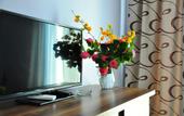 Туры в отель Reness Hotel Kobuleti