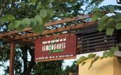 Туры в отель Hoi An Lemongrass Homestay
