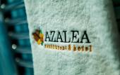 Туры в отель Azalea Hotel