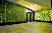 Туры в отель Green Garden Suites