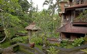 Туры в отель Artini 2 Cottage Ubud