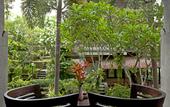 Туры в отель Artini 2 Cottage Ubud