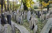 Туры в отель Pension Tara
