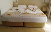 Туры в отель Elis Beach Hotel