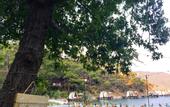 Туры в отель Club Prive By Rixos Gocek