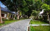 Туры в отель MyPlace Siena Garden Resort