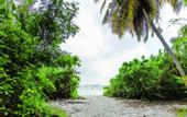 Туры в отель Vinorva Maldives